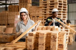 Normativa nimf 15: todo lo que necesitas saber sobre su impacto en la exportación de palets